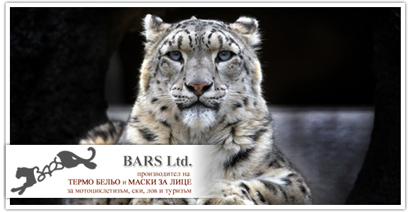 Барс ЕООД Барс ЕООД
