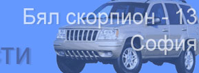 Бял Скорпион - 13 Бял Скорпион - 13