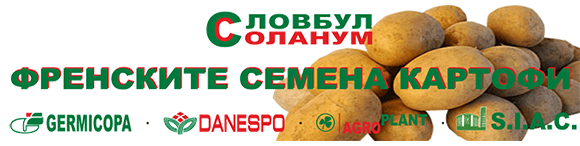 Словбул Соланум Пловдив ЕООД Словбул Соланум Пловдив ЕООД