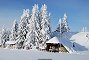 Ски Училище Стиф - Вижте още