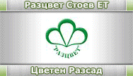 Разцвет Стоев ЕТ - Цветен Разсад, Декоративни Храсти, Саксийни Цветя, Градински център Разцвет