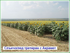  Плантис