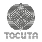 Тосита