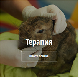 Централна ветеринарна клиника 