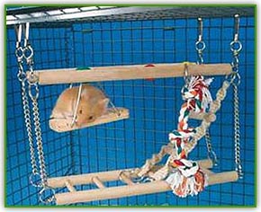 Алиса Пет Груп Алиса Пет Груп