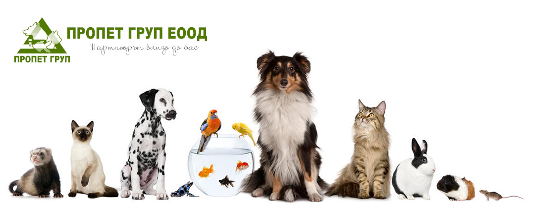 Алиса Пет Груп Алиса Пет Груп