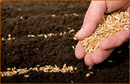 Финмарк Комерсиал