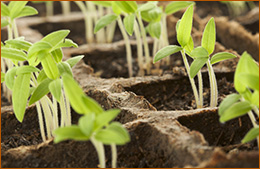 Финмарк Комерсиал