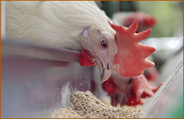 Финмарк Комерсиал