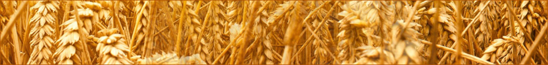 Финмарк Комерсиал