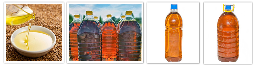 Авис билд Авис билд