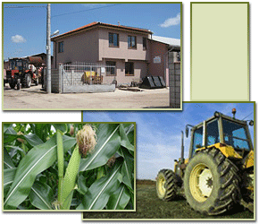 ЕТ Димитър Диков - производство на селскостопанска продукция, услуги със земеделска техника, изкупуване и наемане на земя срещу рента/аренда в землищата Балчик, Гурково, Царичино общ. Балчик, обл. Добрич, реализация на селскостопанска продукция. 