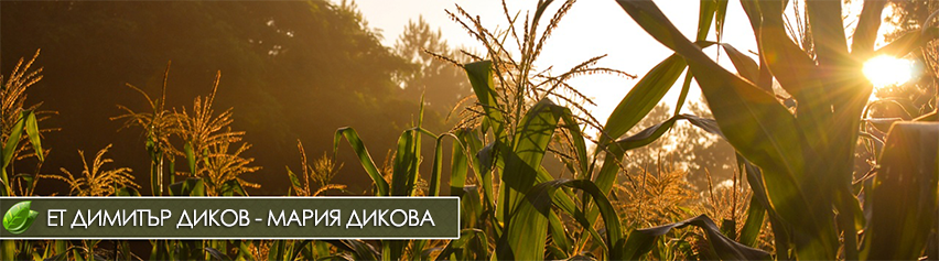 ЕТ ДИМИТЪР ДИКОВ - МАРИЯ ДИКОВА