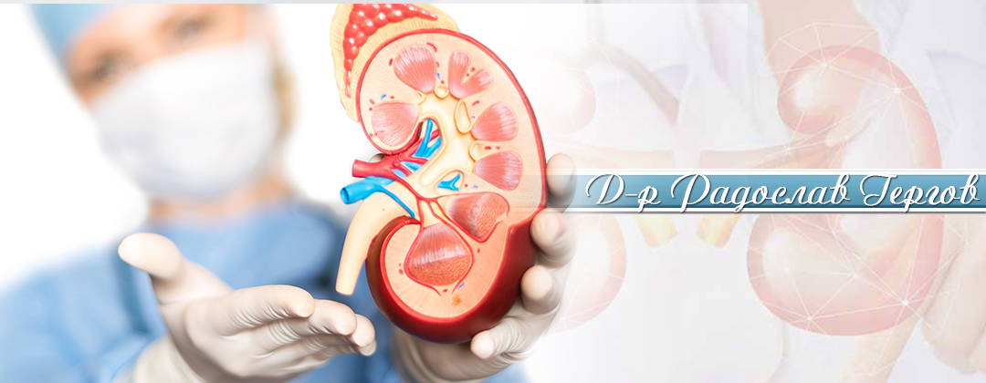 Доктор Радослав Гергов специалист уролог
