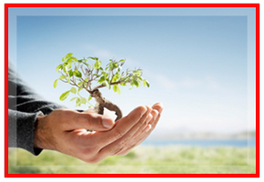 САХЕЛ ЕООД САХЕЛ ЕООД