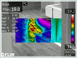 АЙ БИ БИ ЕС ООД