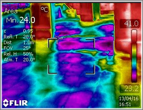 АЙ БИ БИ ЕС ООД АЙ БИ БИ ЕС ООД