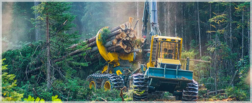 Зигер Инженеринг ЕООД