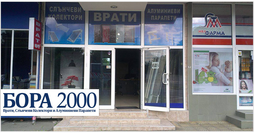 БОРА 2000