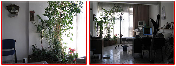 д-р Елена Богушева д-р Елена Богушева