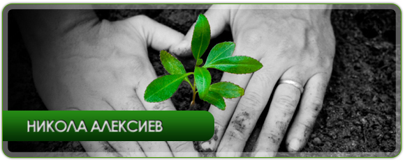НИКОЛА АЛЕКСИЕВ | Ирисова Диагностика И Билколечение, Плевен | BUSINESS.bg