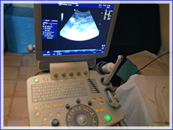 Проф. Петър Панчев