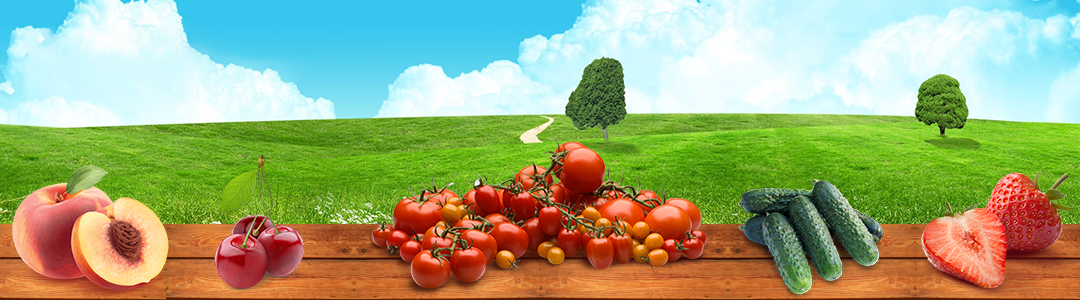 Мултигруп ЕООД