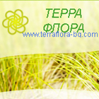 Терра Флора Шабови ЕООД