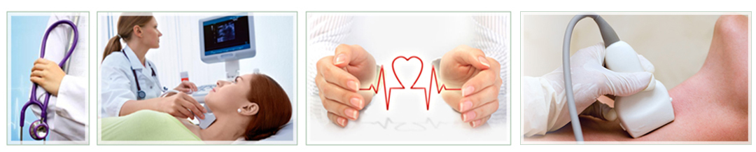 Д-р Елена Виденова