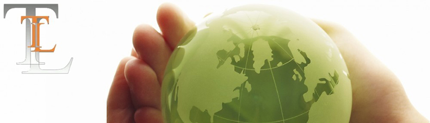 Транслингва ЕООД