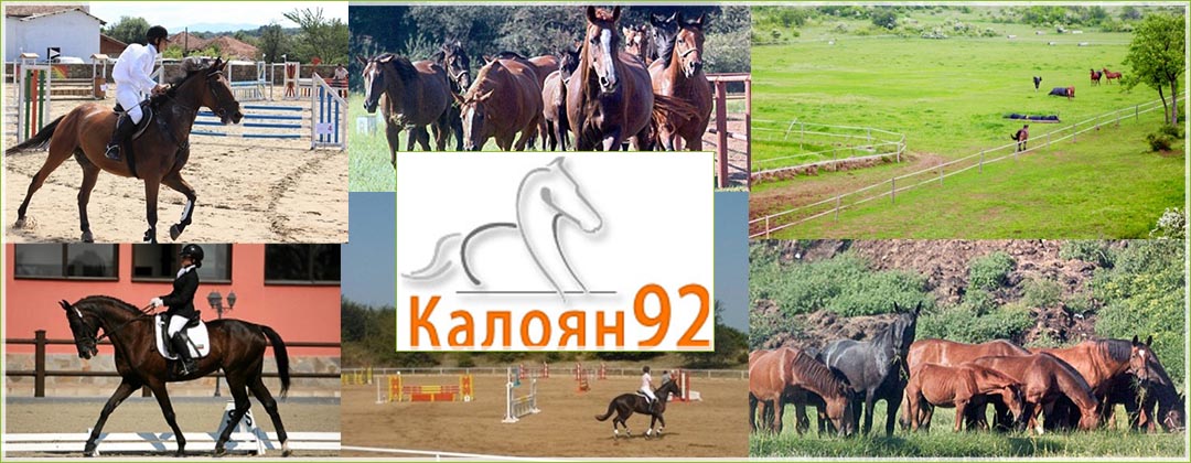 Клуб по конен спорт Калоян 92