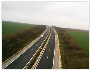 Дейли Консулт БГ ЕООД