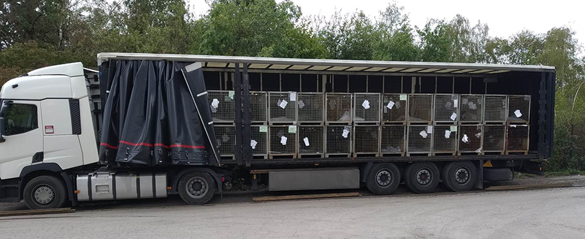 РОУДПОЙНТ ВС ЕООД 