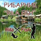 Рила Фиш