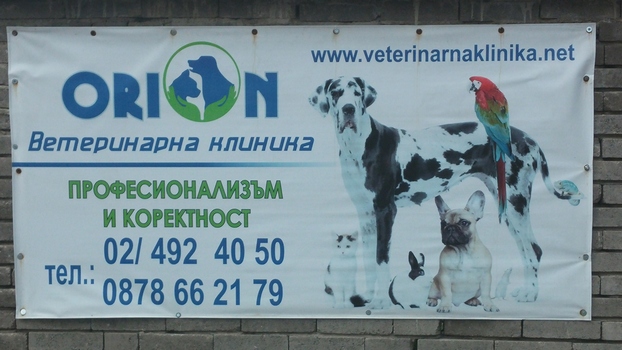 Ветеринарна Клиника Орион