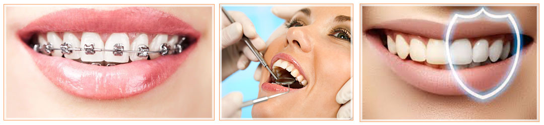 Д-р Ивелина Митева