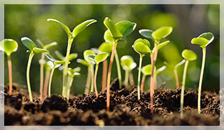 Агроаптека