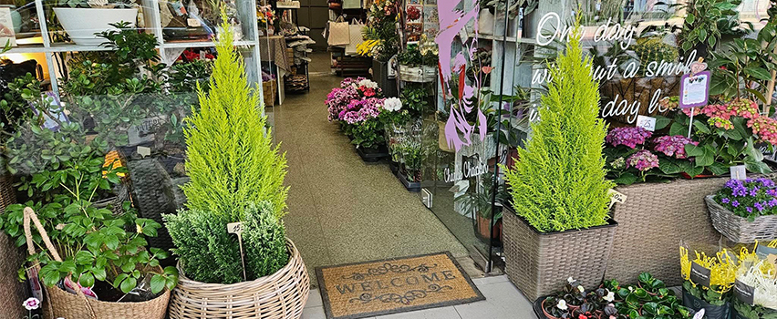 Цвете с Усмивка