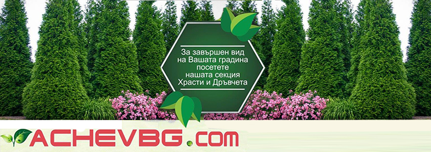 Разсадник АЧЕВ