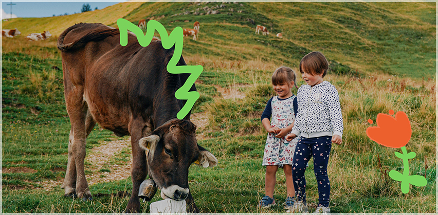 Ски училище Дино