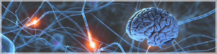 Д-р Живко Петков