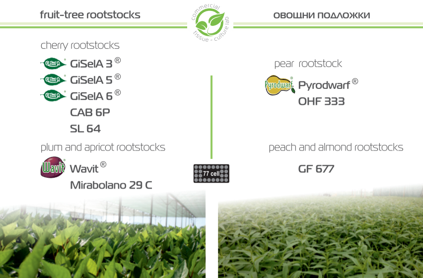 Индустриал плантс ООД