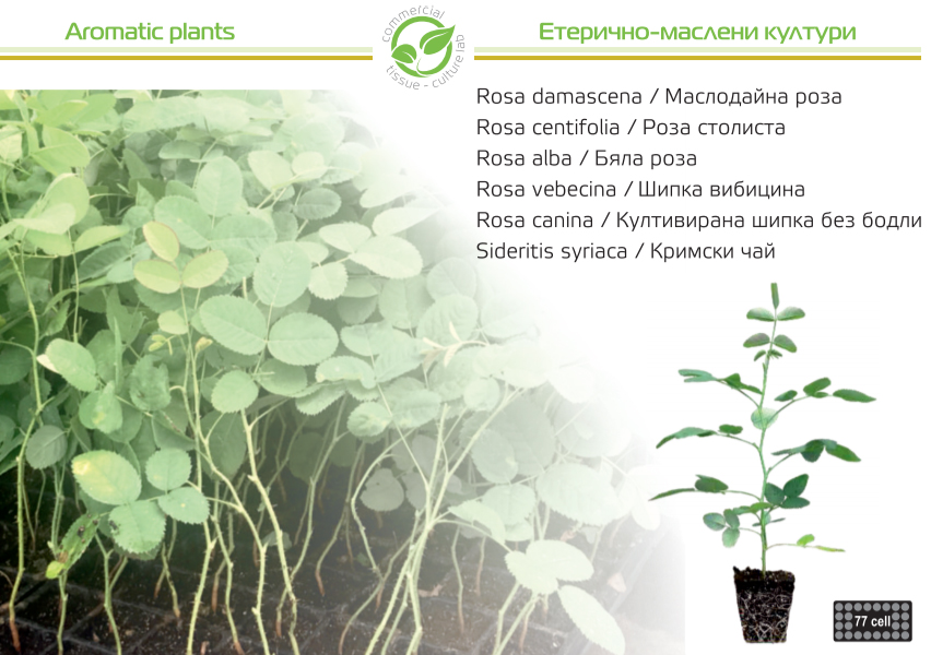 Индустриал плантс ООД