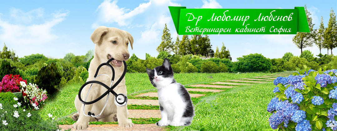 Д-р Любомир Любенов Д-р Любомир Любенов