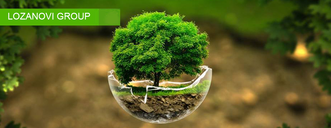 Lozanovi Group