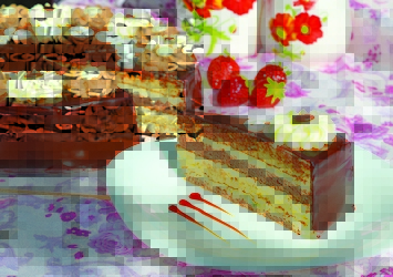 НИКОЛ 05 ООД 