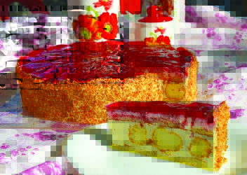 НИКОЛ 05 ООД 