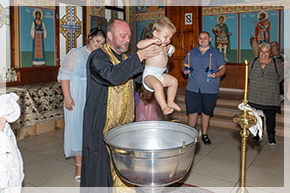 Вега Про Аудио