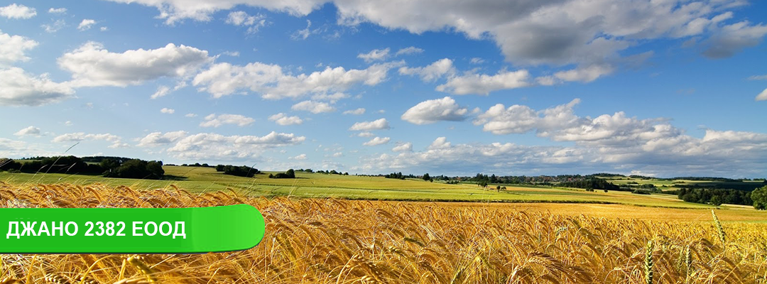 Джано 2382 ООД