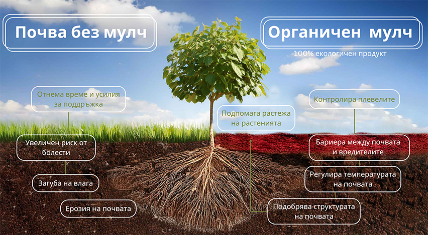 ГЕРМИ ЕООД